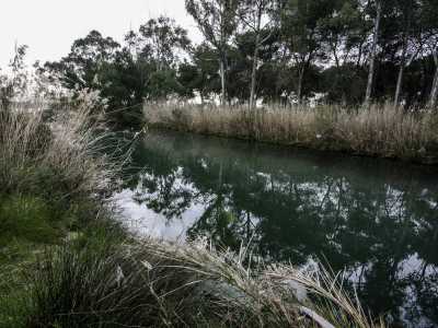 Lasciando Crispiano si percorre infine l�ultimo sentiero: una carrareccia costellata da ulivi che porter� a Taranto attraverso il Parco del Galeso. Quest�ultimo ospita l�omonimo fiume celebrato dallo storico greco Polibio nelle Res Italicae
